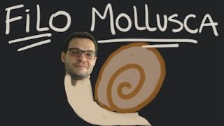 Filo Mollusca moluscos mais biologia parte1 [upl. by Garner137]