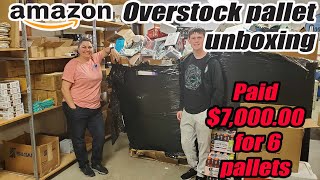 Unboxing a pallet of Amazon Overstock  Pet items Clothing Toys and more [upl. by Il479]