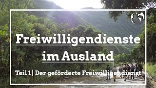 Freiwilligendienste im Ausland  Freiwilligenarbeitde [upl. by Cati]