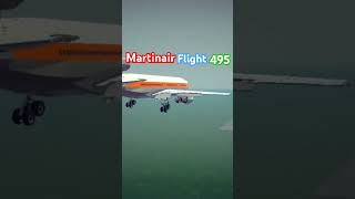 Martinair Flight 495 automobile aviation planespotting landing duet animation planecrash dc9 [upl. by Adiahs]