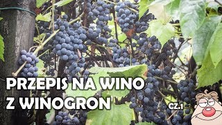 Wino Winogronowe GRONOWE cz1  prosty przepis na domowe wino z winogron [upl. by Sybil792]