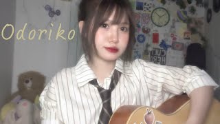 踊り子  odoriko  vaundy cover  guitar [upl. by Novled821]