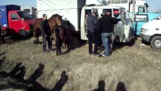 skaryszew 2011 104 [upl. by Hughett223]