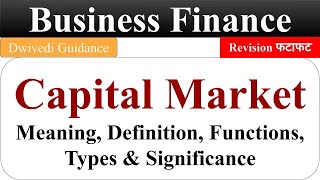 Capital market capital market type business finance lucknow university BCom UGC [upl. by Zingg]