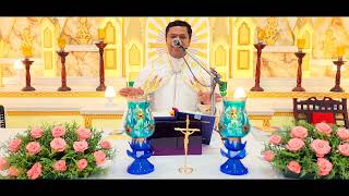 Sunday Holy Mass October 15 530 AM I Malayalam I Syro Malabar I Fr Bineesh Augustine [upl. by Aninat]