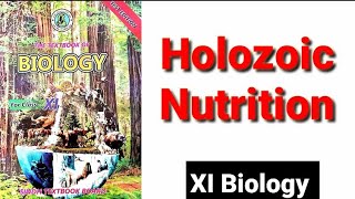 Holozoic Nutrition XI Biology [upl. by Jaime]