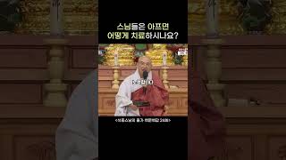 스님들은 아프면 어떻게 치료하나요  석중스님 출가일기 질병 치료 코로나19 [upl. by Darell403]