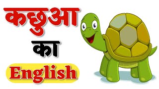 कछुआ को इंग्लिश में क्या कहते हैं  Kachhua Ko English Mein Kya Kahate Hain [upl. by Goulet]