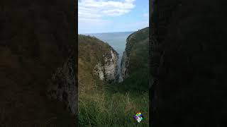 Bempton Cliffs 16082024 cliff cliffs eastyorkshire [upl. by Filippa421]