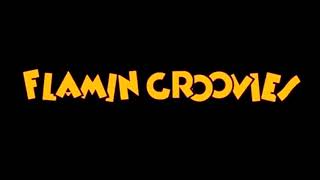 Flamin Groovies  Live in San Francisco 1979 Full Concert [upl. by Analise]