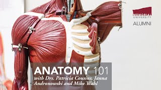 Anatomy 101 [upl. by Einra]