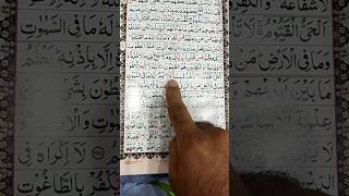 Ayat ul Kursi 😍😍 shorts quran [upl. by Shutz]