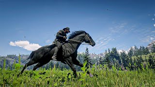 9 Best fastest amp Rarest Wild horse breed location in Red Dead Redemption 2 [upl. by Benedikta754]