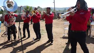 BANDA HERENCIA MIXTECA DE SAN MIGUEL TLACOTEPEC  OAXACA [upl. by Gnanmas]