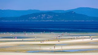 Top10 Recommended Hotels in Parksville British Columbia Canada [upl. by Aciret523]