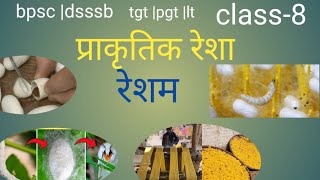 BPSC DSSSB TGT PGT LT NET GIC home science silk रेशम Textile Education9285 [upl. by Maude23]