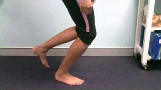 17 Physiotherapy North Sydney Patella Tendon Injury Exercise [upl. by Shanon]