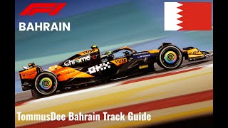 Bahrain Track Guide  TGR S3 Formula 1 Gulf Air Bahrain Grand Prix 2024 [upl. by Kassaraba]