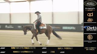 Maturity 2024  LUCA PICCOLO amp MM WHITE FACE GUN score 212 [upl. by Anim]