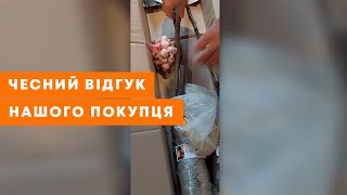 ВІДЕОВІДГУК АГРОМАРКЕТ ОТЗЫВ  Плодові саджанці айва яблуня та груша  AgroMarketua [upl. by Pharaoh]