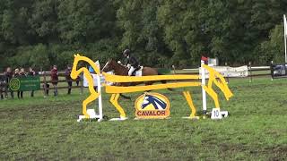 Stef Bossaerts  F Magic vd Wilgendreef Z  Zwaar omloop 2 [upl. by Draillih]