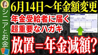 【年金額増加】6月に届く通知書のココだけは絶対にチェックして！確認すべき項目を完全解説！【年金額改定通知書年金振込通知書】 [upl. by Nodnelg]