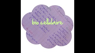 Cours biologie cellulaire partie 13 les endosomes les lysosomes et les peroxysomes [upl. by Ernesta375]