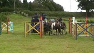 Normanhurst horse driving trials pony fourinhand Sue Skeggs [upl. by Nevada]