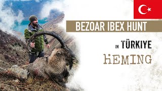 2 WORLD CLASS Bezoar ibex taken in one day 🌿📯 Türkiye 🇹🇷🏔️‼️ [upl. by Kroo]