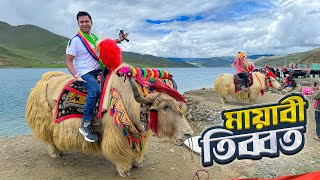 তিব্বতের পাহাড়ি জনপদের অপরূপ সৌন্দর্য  Yamdrok Lake  Kambala Pass  Tibet [upl. by Atnohsal538]