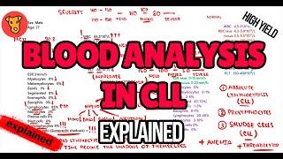 Blood analysis in CHRONIC LYMPHOCYTIC LEUKEMIA Explained Diagnostic algorithm [upl. by Yanat]