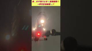 🟢まぶしすぎる✨🤗超接近✈️飛行機‼️aviation エアライン 飛行機 planespotting 伊丹空港 着陸 japanairlines 豊中市 shorts [upl. by Aliel]