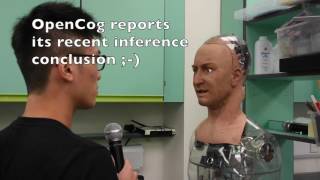 Simple OpenCog inference via Hanson robot running Hanson AI stack [upl. by Pernick59]