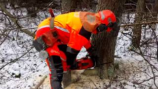 Chainsaw Husqvarna 560XP and Husqvarna Technical Protective Clothing [upl. by Rebna]