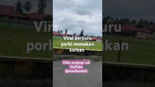 kejadian viral kemarin sore di sungai geringging SUMBAR [upl. by Draillih698]