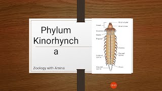 Phylum Kinorhyncha  Morphology Internal structures and reproduction in Phylum Kinorhyncha [upl. by Nunci]