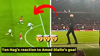 Ten Hags reaction to Amad Diallos goal in Manchester United vs Liverpool 43 [upl. by Anayia]