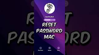 Reset Password Mac shorts [upl. by Aynot]