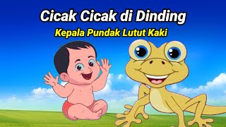 Kepala Pundak Lutut Kaki  Cicak Cicak di Dinding  Lagu Anak Indonesia [upl. by Aneet567]