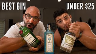 Whats the best GIN on a budget Liquor under 25 [upl. by Chrystel349]