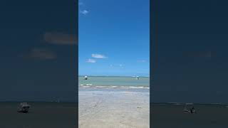 Vem Conhecer Maceió turismoalagoas praia [upl. by Nyroc]