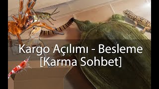 Paket Açılımı  Besleme VLOG  Agresif Kaplumbağa  Karidesler  Akrep vs [upl. by Aicetal]