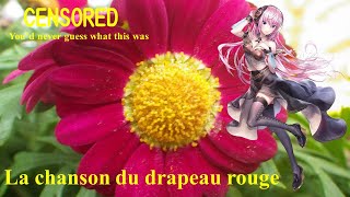 【Megurine Luka】赤旗の歌 1889：La chanson du drapeau rouge 【vocaloid 2】巡音ルカ [upl. by Woodford]