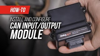 Holley EFI’s CAN InputOutput Module Allows You To Expand Your Current ECU’s Capabilities [upl. by Jorrie]