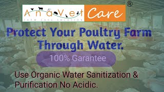 Protect Your Poultry farm through water [upl. by Lenoyl]