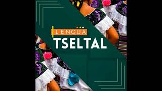 los Tzeltales [upl. by Acire]