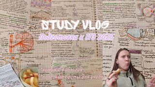 🐢Study vlog🐢 Моя подготовка к экзаменам на каникулах [upl. by Aitsirk]