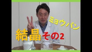 【簡単実験】目指せ！大きくきれいなミョウバン結晶！その２自由研究にもぴったり！ [upl. by Afira579]