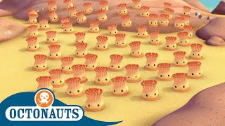 Octonauts  Enemy Anemones  Cartoons for Kids [upl. by Enirrok]