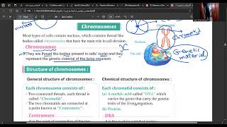 cell division  Part 1  Science  Prep 3  First term [upl. by Stiles]